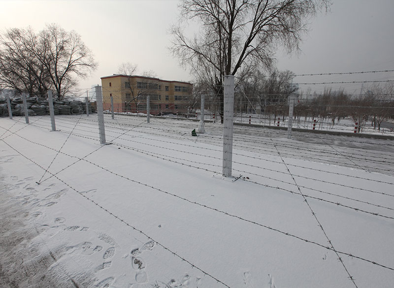 雙股刺（cì）繩